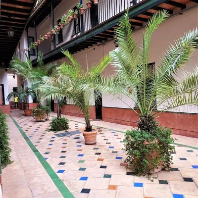 Jardín al aire libre en Lumbreras V Apartamento Alameda Sevilla