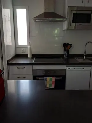 Una cocina o zona de cocina en Lyrioshomes Apartamento Filpo Rojas , Sevilla