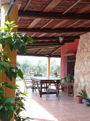 Un balcón o terraza de La Buganvilla, descanso entre olivares