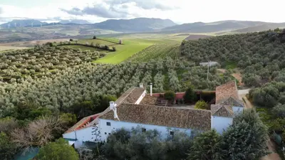 Paisaje cerca de este apartamento