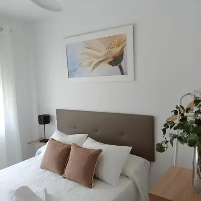 APARTAMENTOS MATUTE
