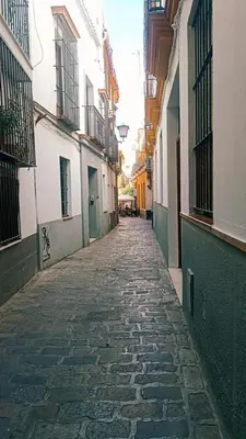 El barrio de los alrededores o un barrio cerca de este apartamento