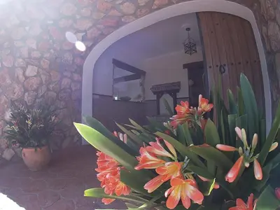 Plano de Casa Maleda