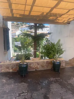 Jardín al aire libre en Casa Los Encinares