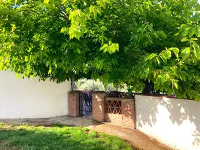 Jardín al aire libre en Finca Villa Coral