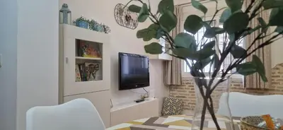 Una televisión o centro de entretenimiento en Piso familiar y con encanto