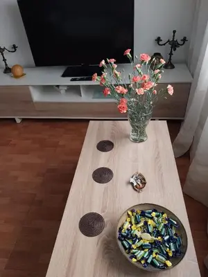 Una televisión o centro de entretenimiento en Apartamento acogedor Córdoba