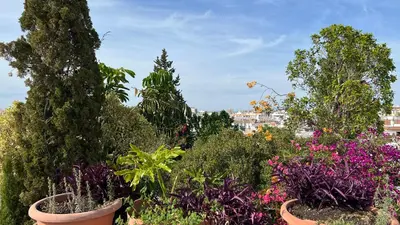 Jardín al aire libre en Calm & Design Suite