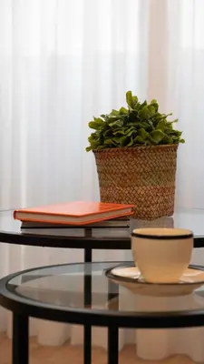 Plano de Calm & Design Suite