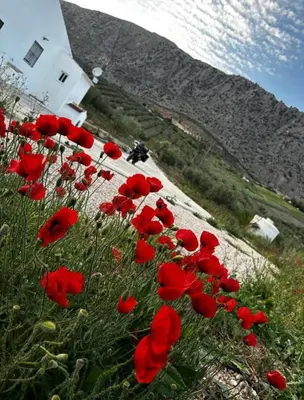 Paisaje cerca de esta casa o chalet