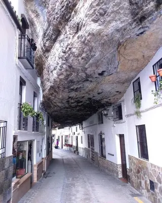 El barrio de los alrededores o un barrio cerca de este apartamento