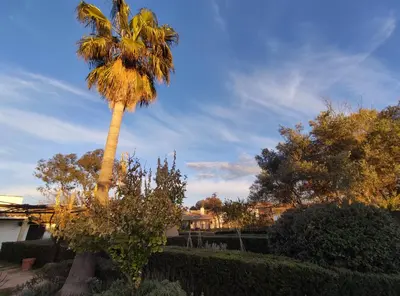 Jardín al aire libre en Cortijo el Cachete
