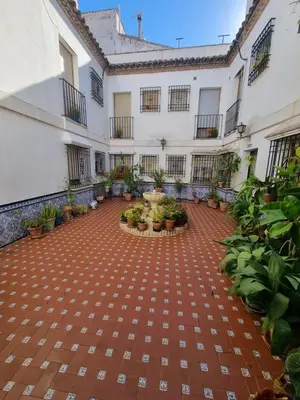 Jardín al aire libre en Vivienda Turistica en el Patio de la Judería