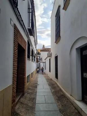 El barrio de los alrededores o un barrio cerca de este apartamento