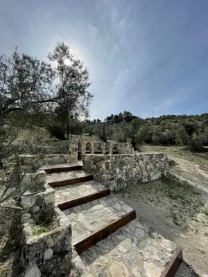 Paisaje cerca de este lodge