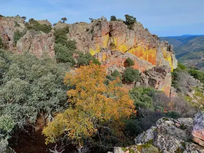 Paisaje cerca de esta casa o chalet