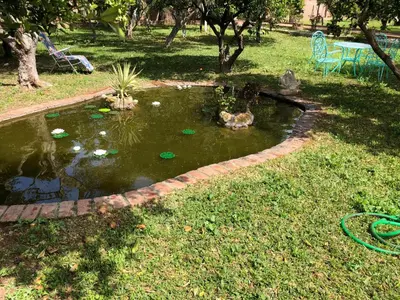 Jardín al aire libre en La Casita del Cactus - Casa de campo con piscina