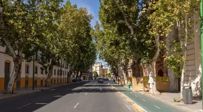 El barrio de los alrededores o un barrio cerca de este apartamento