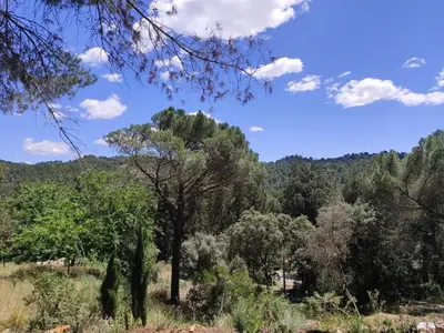 Paisaje cerca of this country house