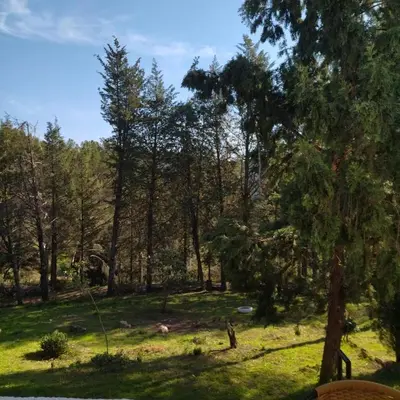 Paisaje cerca of this country house