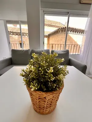 Un balcón o terraza de APARTAMENTO SANMIGUEL CENTRO