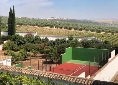 Instalaciones para jugar a tenis o squash en La Capellania de Alvear o alrededores