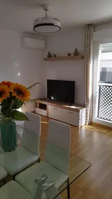 Una televisión o centro de entretenimiento en Apartamento Fuente del Genil.