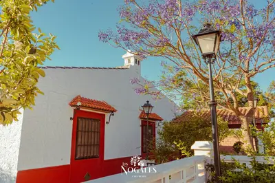 Edificio en el que se encuentra la casa o chalet