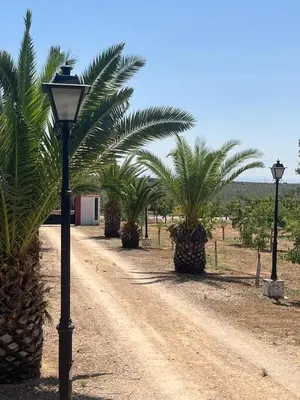 Plano de Los Nogales Casa Rural