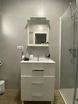 Un baño de Apartamento Andalucía Centro II