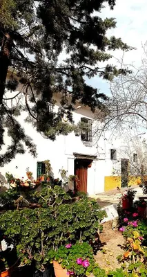 Jardín al aire libre en Alojamiento Rural Las Viñas