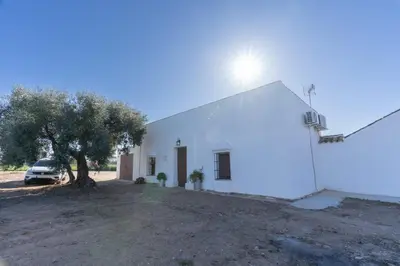 Edificio en el que se encuentra la casa o chalet