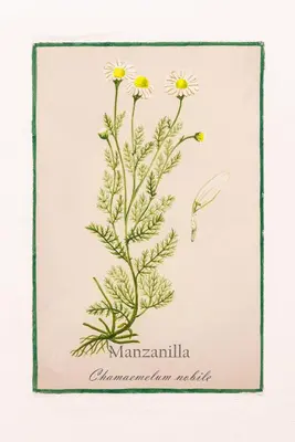 Plano de Arte de Cozina