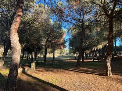 Paisaje cerca de esta casa o chalet