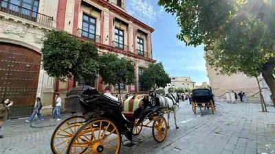 Clientes alojados en Apto T Patio Sevillano - Garaje privado con carga eléctrica