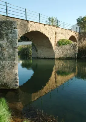 Vista de un río cerca de este hostal o pensión