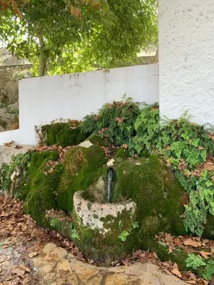 Jardín al aire libre en Villa Remedios