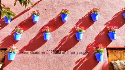 Plano de Apartamento Flor de Córdoba