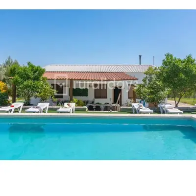 Villa Dehesa Olive