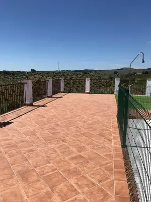 Un balcón o terraza de La sombra del lagarto