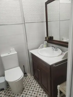 Un baño de Casa Tagore