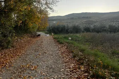 Paisaje cerca de esta villa