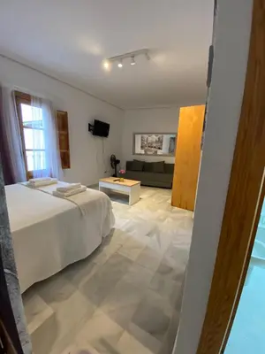 Una televisión o centro de entretenimiento en Magnifico Loft Sevillano en el Centro