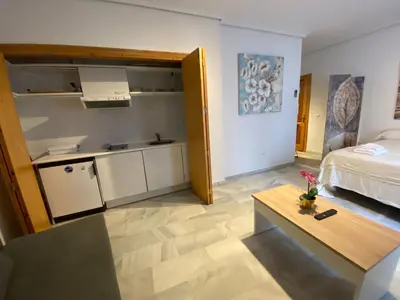 Una cocina o zona de cocina en Magnifico Loft Sevillano en el Centro