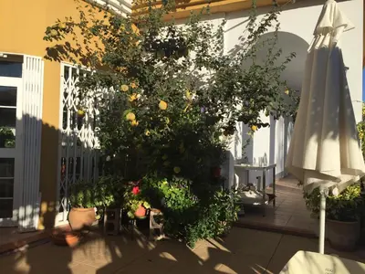 Jardín al aire libre en Hotel Arco del Sol