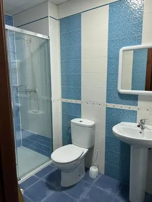 Un baño de Alojamientos Claus