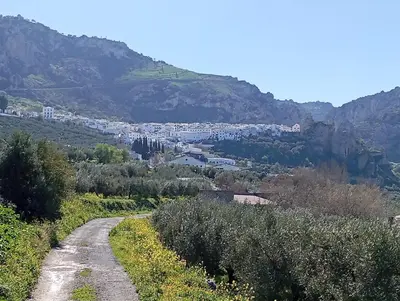 Paisaje cerca de esta casa o chalet