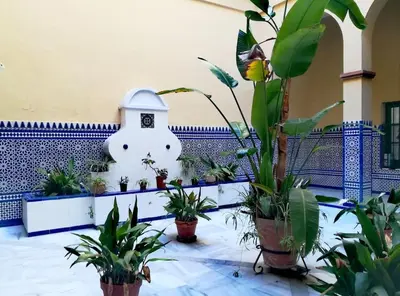 Jardín al aire libre en Hispalis Conde de Ibarra