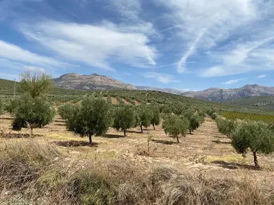 Paisaje cerca de esta villa