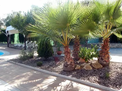 Jardín al aire libre en Villa María - Pista de Padel y Piscina